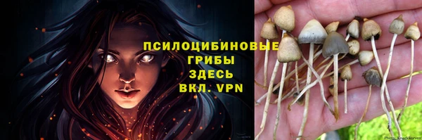 кокаин Гусев